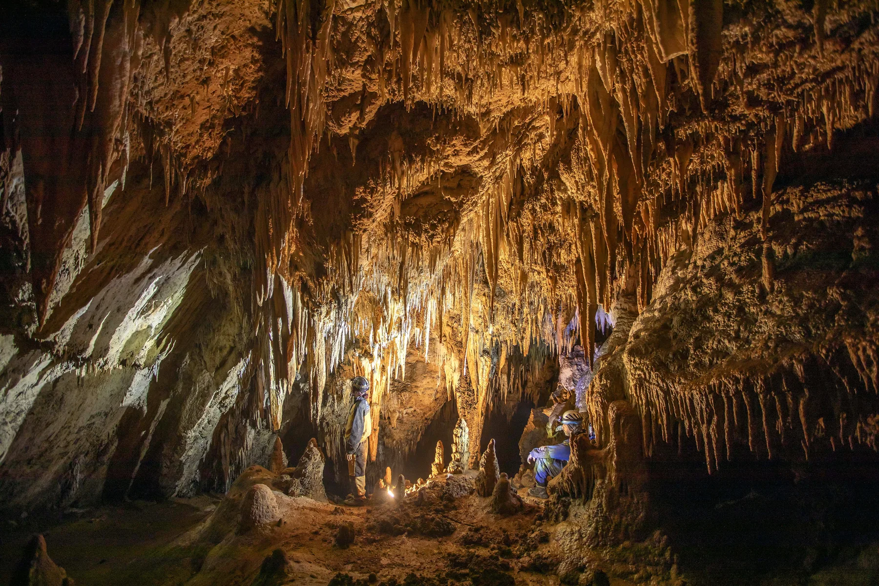 Especialistas em trabalho de campo no interior de uma caverna